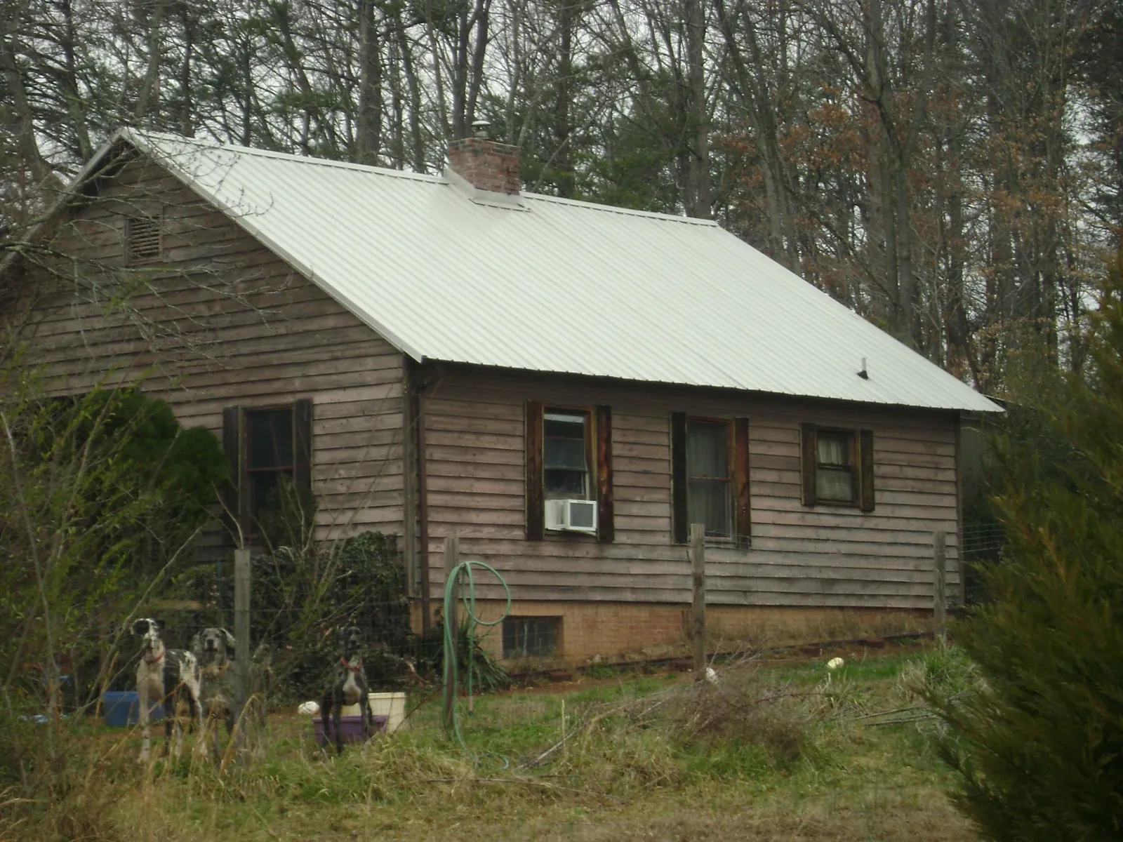 White metal roof on an old wood sided farmhouse, from a Asphalt Shingle Roof Repair job in Culdesac
